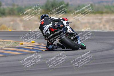 media/Oct-01-2023-SoCal Trackdays (Sun) [[4c570cc352]]/Turn 14 Backside (1120am)/